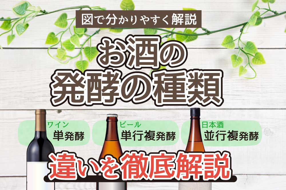 お酒の発酵方法を徹底解説　ワイン単発酵　ビール単行複発酵　日本酒並行複発酵