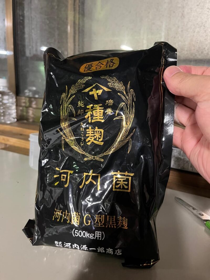 黒麹菌1
